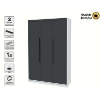 Шкаф распашной Тренд КТ-Ш3 (Белый платинум ЛДСП/ Пепел ЛМДФ) Ш1360 В2128 Г547